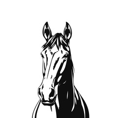 Horse head illustration, animal portrait drawing, farm animal art, wild horse face, horse head sketch