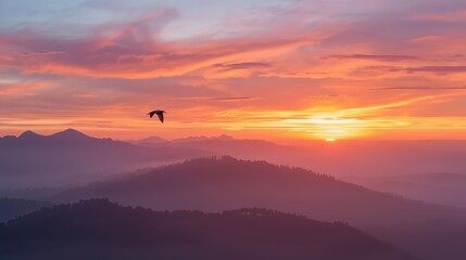 Obraz premium Scenic sunrise with soft fog, glowing mountain peaks, and a bird in flight, emphasizing natural beauty and tranquility.
