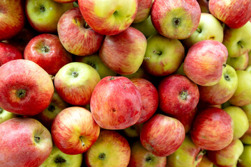 Close-up of a vibrant pile of ripe apples with smooth skin in shades of red, pink, and green, highlighting freshness and natural texture in a rustic setting