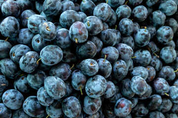 Close-up of ripe, juicy plums with natural bloom and smooth skin in rich blue-purple tones,...