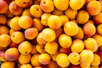 Close-up of vibrant orange apricots with natural blush, arranged in an abundant display of ripe summer fruit, highlighting freshness and organic appeal