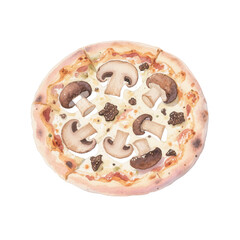 Watercolor Mushroom Pizza Illustration Isolated on White