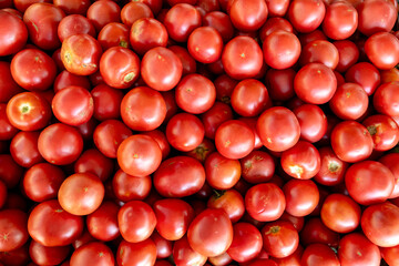 Top view of ripe red tomatoes with smooth, shiny skin, arranged in a vibrant and abundant display, showcasing freshness and seasonal local produce
