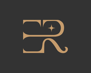 Modern monogram design letters E and R in a golden style on a dark background, with a  star element for a sophisticated and luxurious look.