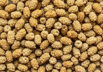 Close-up studio shot of a heap of fresh white mulberries creating a textured pattern food background
