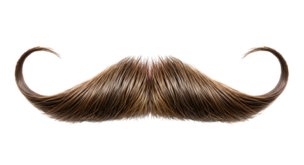 Detailed mustache isolated on transparent background, showcasing intricate hair strands and a classic handlebar style, perfect for design elements