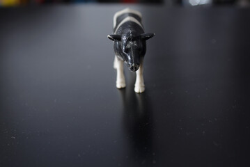 A miniature figure of a domestic black and white cow that irresistibly reminds of the village and childhood and the taste of fresh domestic milk