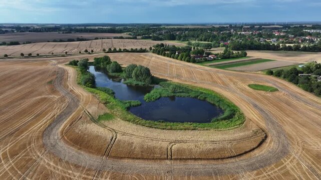 Aerial view of a serene lake with lush greenery amidst harvested golden fields, creating a striking contrast, Bruessow, Brandenburg, Germany.