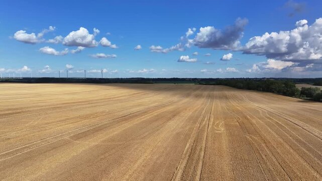 Aerial view of the golden harvested field contrasting with the blue sky and fluffy clouds, creating a stunning rural landscape, Bruessow, Brandenburg, Germany.