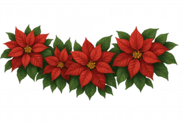 Poinsettia flower border creating a festive winter holiday decoration, red and green christmas plant arrangement with transparent background