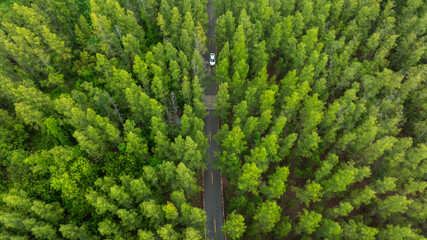 Aerial view of dark green forest road and white electric car Natural landscape and elevated roads Adventure travel and transportation and environmental protection concept	
