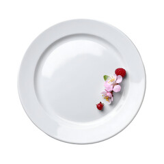 Elegant White Plate with Raspberry and Blossom Garnish