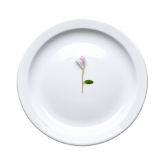 Minimalist White Plate with a Single Delicate Flower Bud