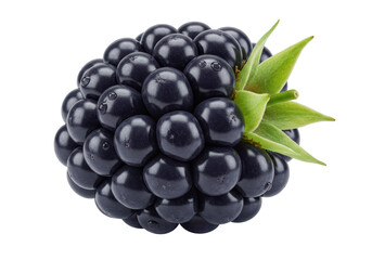 Isolated ripe blackberry with leaves close up, berry fruit for healthy eating, sweet treat