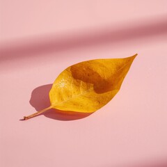 Naklejka premium Nature leaf surface yellow leaf autumn leaf pink design