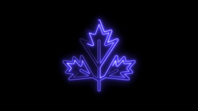 Glowing neon blue maple leaf icon animation on a black background