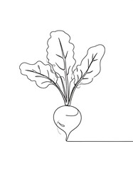 Single line drawing of a beet
