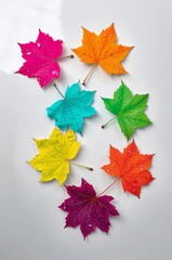 Maple leaf design colorful leaf maple leaf art nature