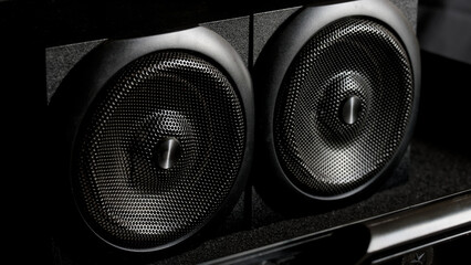 Two professional black audio speakers in a soundproof case, symbolizing studio equipment, music production, and clear sound. Photo