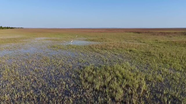 Aerial view of McQueen's Island Historic Trail under a clear sky, with marshland grasses and standing water creating a beautiful contrast, Savannah, Georgia, United States.
