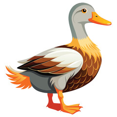 Sunrise Feather Duck. Golden Crest Waterfowl. Amber Glow Duck Vector. Rust-Feathered Duck. Elegant Autumn Duck Vector. Duck concept, Duck cartoon, Duck icon, Duck art, Duck topics, Duck doodle.,