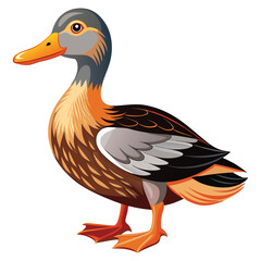 Autumn Feathered Duck. Amber Wing Duck Vector. Rustic Plumage Waterfowl. Golden-Brown Duck Illustration. Wildwood Feather Duck. Duck concept, Duck cartoon, Duck icon, Duck Vector, Duck topics, Duck,