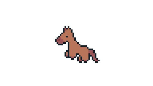 8-bit pixel art brown horse character rearing. looped animation 4k