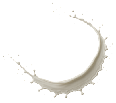Creamy White Liquid Splash Forming a Ring with Droplets on White Background milk isolated on a transparent background