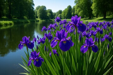 Blooming purple irises near a tranquil riverbank with lush green trees in the background under bright natural daylight in springtime concept. Ai generative