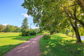 Park with a path and a tree with green leaves