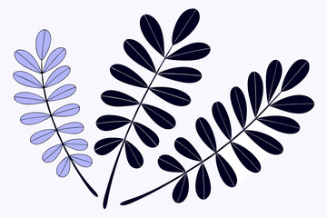vector illustration of a leaf