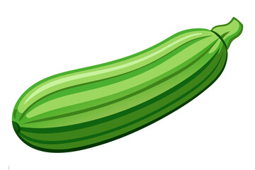 vector illustration of a green zucchini
