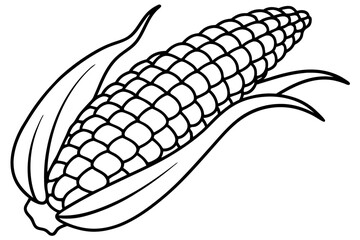 hand drawn illustration of corn