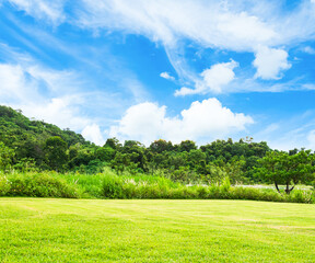 Green park garden nature outdoor landscape decorection plant with clear blue sky background, grass gardens for tourism vacation relax, environment concept
