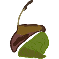 Drawing leaf illustrations unique ugly