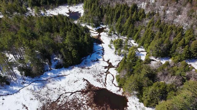 Aerial view of a forest with streams cutting through remaining snow, contrasting the dark water with the vibrant green trees, Jericho, Vermont, United States.
