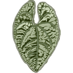 Drawing leaf illustrations unique ugly