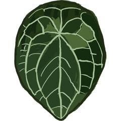 Drawing leaf illustrations unique ugly