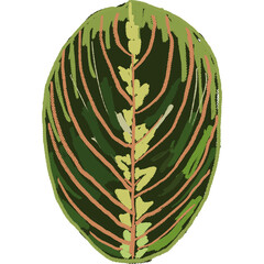 Drawing leaf illustrations unique ugly