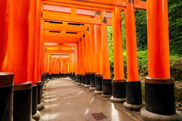 A torii path across the Inari mountain at Fushimi Inari-taisha. Beautiful Japanese landscape. Kyōto, Japan.