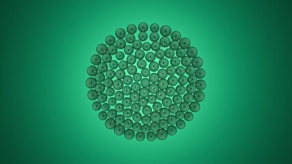 Cluster of biological cells forming circular structure with visible nuclei