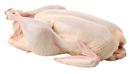 full raw duck with skin on transparent background. raw whole duck with skin png
