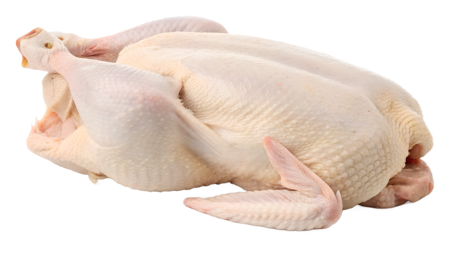 full raw duck with skin on transparent background. raw whole duck with skin png