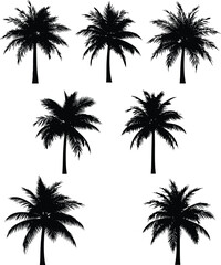 Palm tree silhouette, tropical island graphic, black vector illustration, summer beach design, exotic nature clipart, paradise scene, editable art