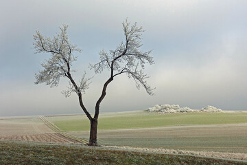 Winterlandschaft