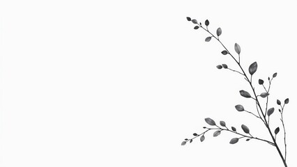 minimal design with black vine branches in watercolor style at the corners, blank space in center, elegant background.