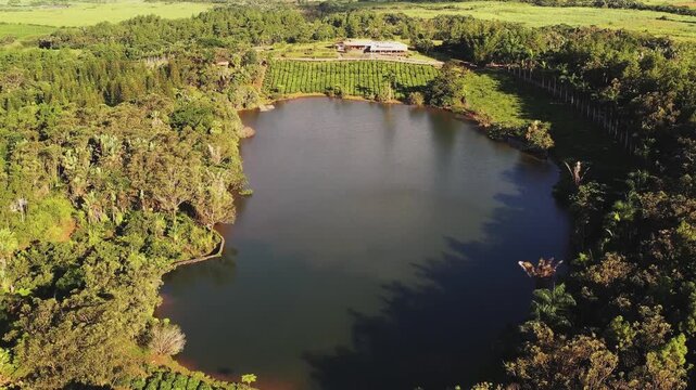 Aerial view of Bois Cheri tea restaurant near a serene lake, a vivid scene of green tea plantations contrasting with the dark water, Bois Cheri, Savanne District, Mauritius.