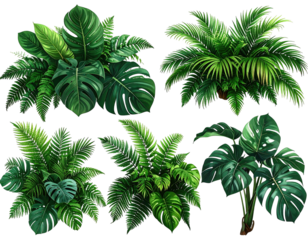 Assortment of lush, tropical plants featuring various green leafy foliage