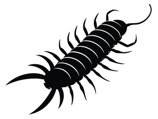 Fototapeta premium centipede crawling silhouette vector icon