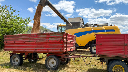 Golden grains cascade into the crimson wagon under azure skies, evoking Lughnasadh harvest ritual...